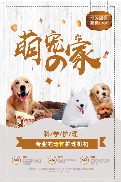 寵物店海報萌寵貓狗狗護理寵物用品寵物美容psd設計模板ps素材 寵物海報