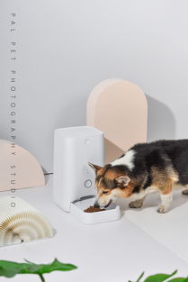 一組寵物生活類智能產品拍攝